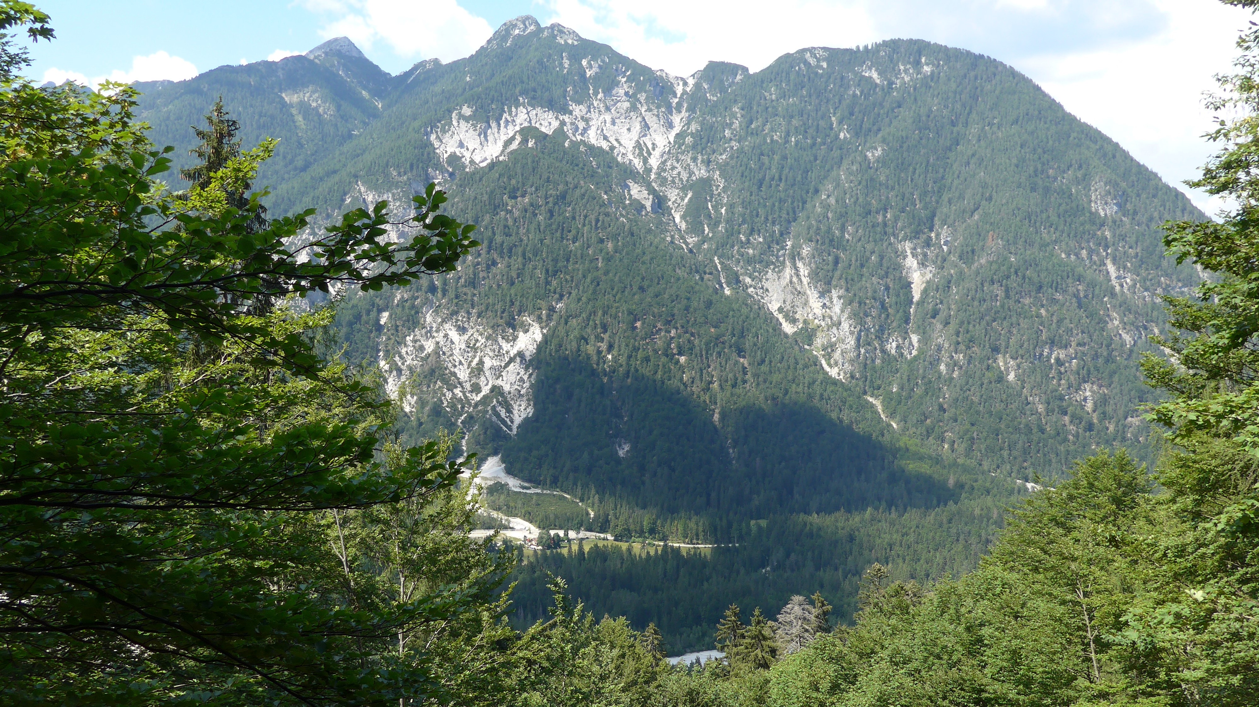 Foresta di Tarvisio Foresta di Tarvisio