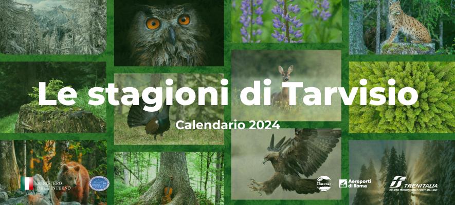 Calendario 2024 - Le stagioni di Tarvisio