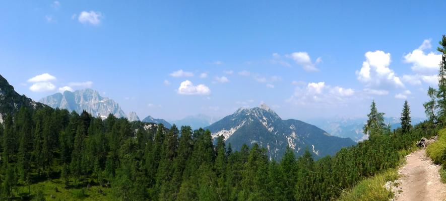 Foresta di Tarvisio