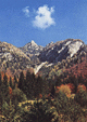 ud_b1_tarvisio_s_boschi2